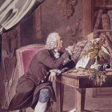 Gerard van Swieten / Österreichische Nationalbibliothek Ausschnitt des Gemäldes von Gerard van Swieten (1700-1772) von Karl Ruß. Datiert 1807.